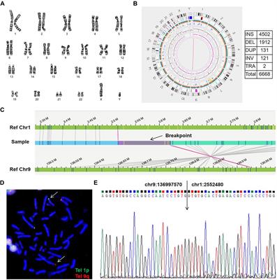 Analysis of chromosomal structural variations in patients with recurrent spontaneous abortion using optical genome mapping